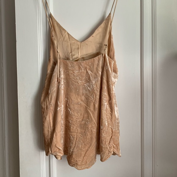 Are You Am I Crushed Velvet Zillah Slip Dress - Picture 8 of 11